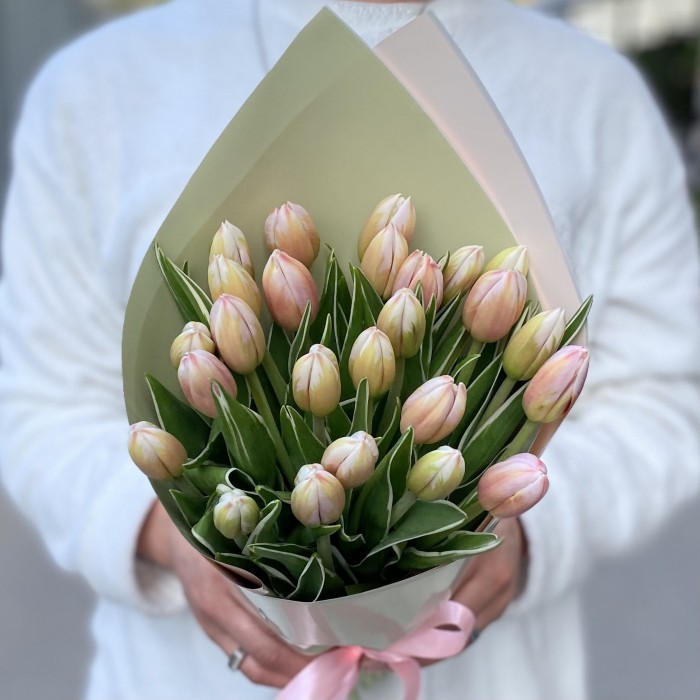 25 тюльпанов Марк Дизайн