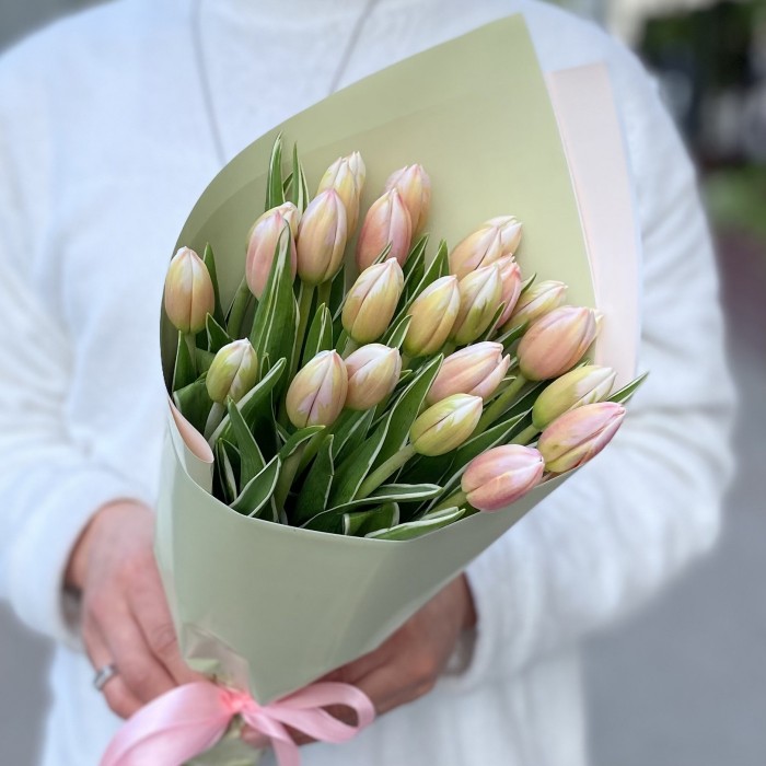 25 тюльпанов Марк Дизайн