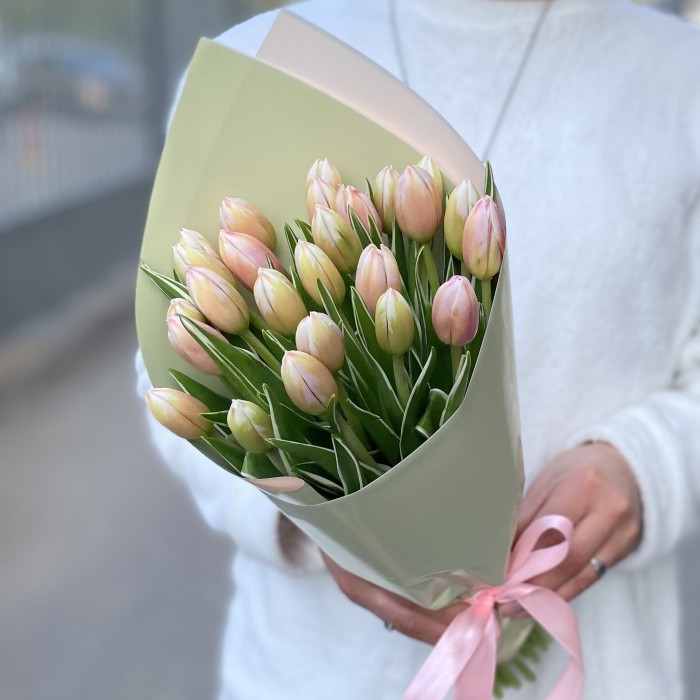 25 тюльпанов Марк Дизайн