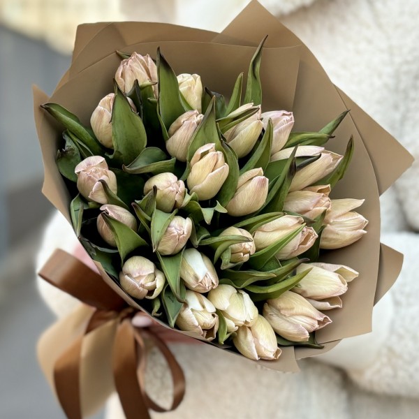 25 тюльпанов Мокко