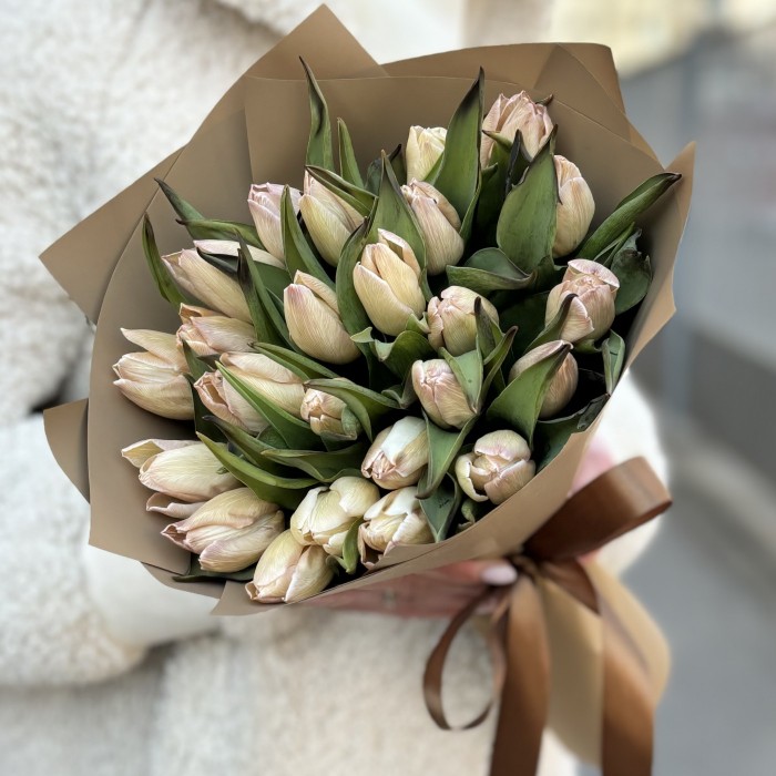 25 тюльпанов Мокко