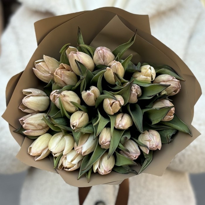 25 тюльпанов Мокко