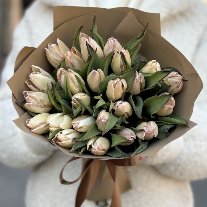 25 тюльпанов Мокко