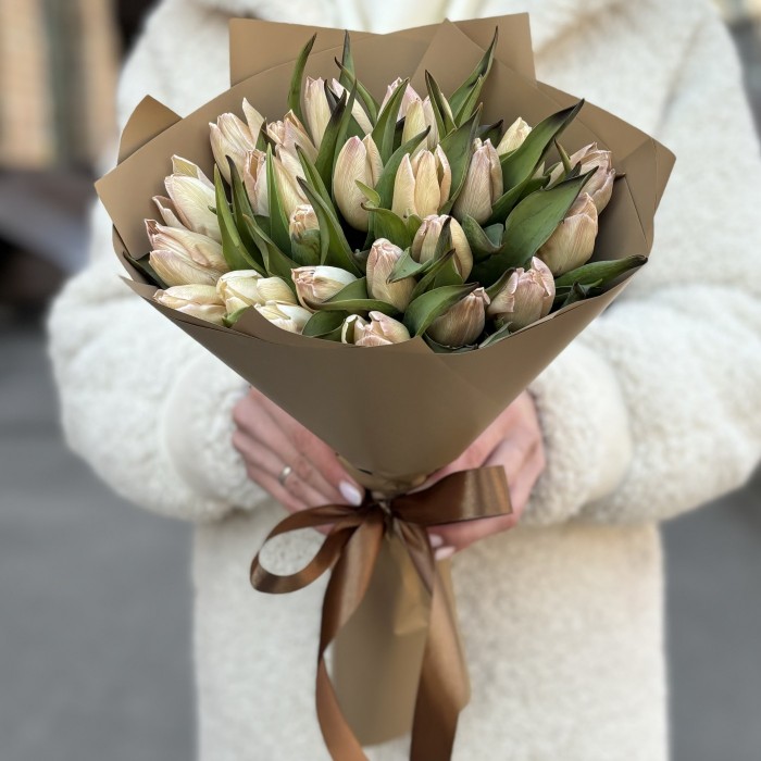 25 тюльпанов Мокко
