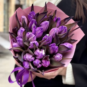 25 тюльпанов цвета фуксия