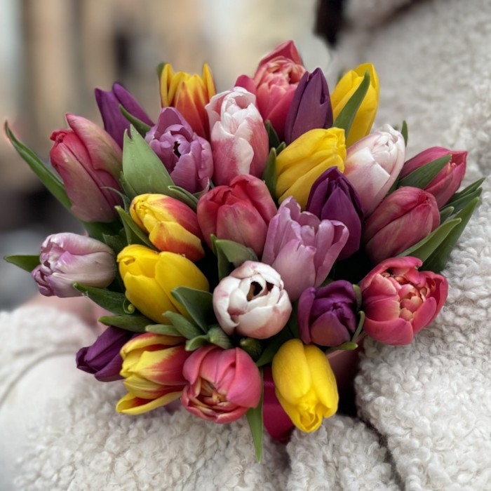 25 ярких тюльпанов в коробке с котиком