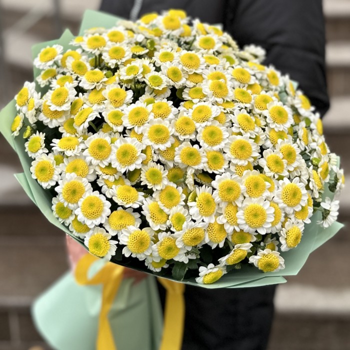 Букет из 25 желтых Сантини Пуговка