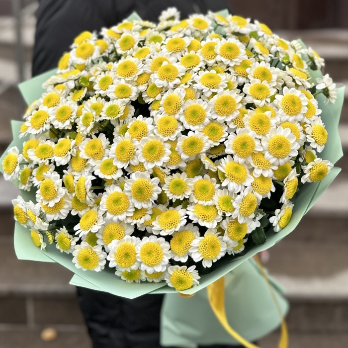 Букет из 25 желтых Сантини Пуговка