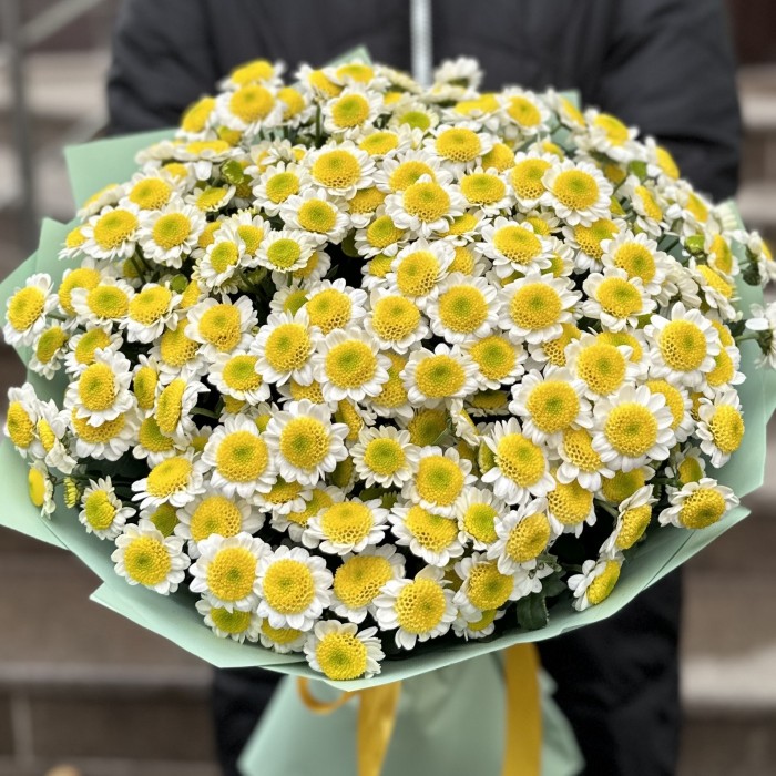 Букет из 25 желтых Сантини Пуговка