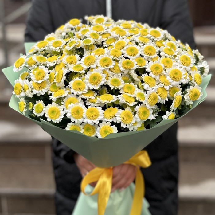 Букет из 25 желтых Сантини Пуговка