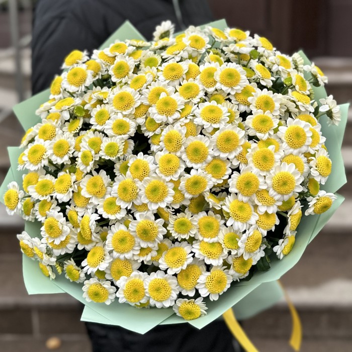 Букет из 25 желтых Сантини Пуговка