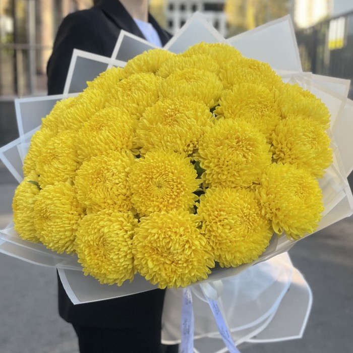 25 желтых хризантем