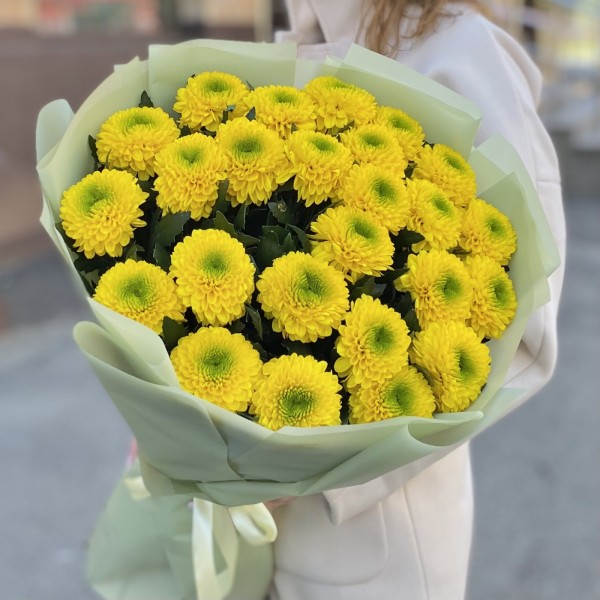 25 жёлтых хризантем Помпон