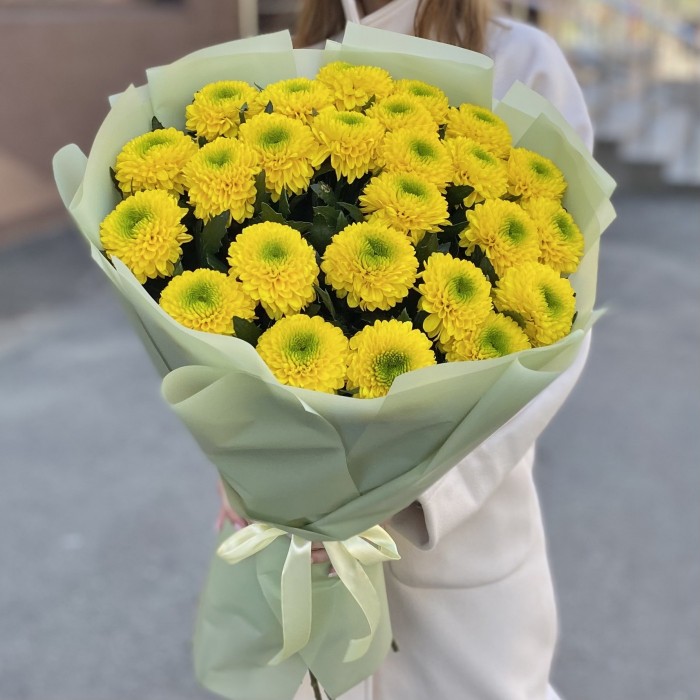 25 жёлтых хризантем Помпон