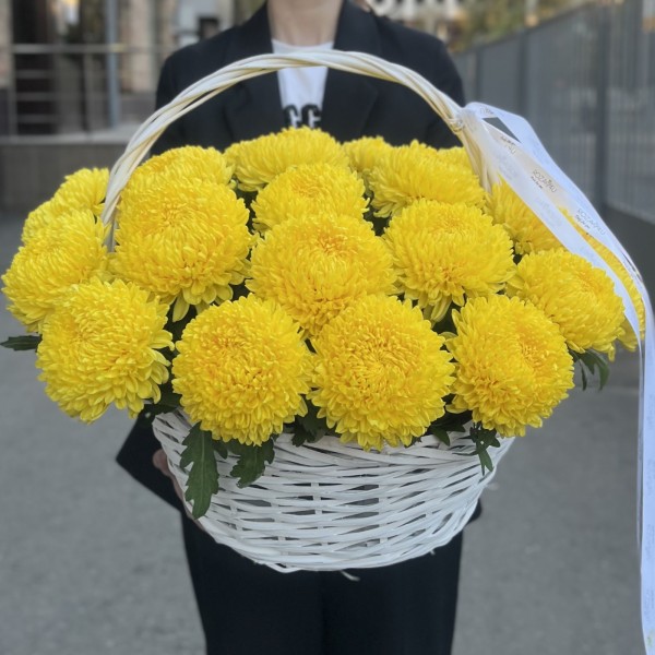 25 желтых хризантем в корзине