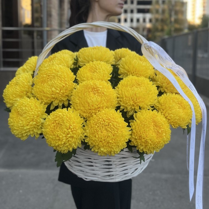25 желтых хризантем в корзине