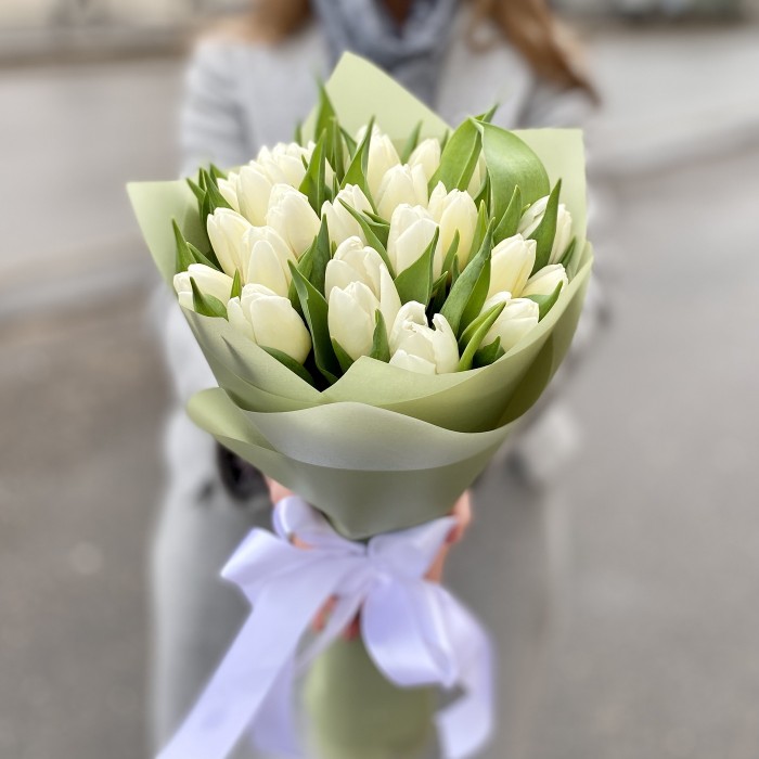 25 белых тюльпанов