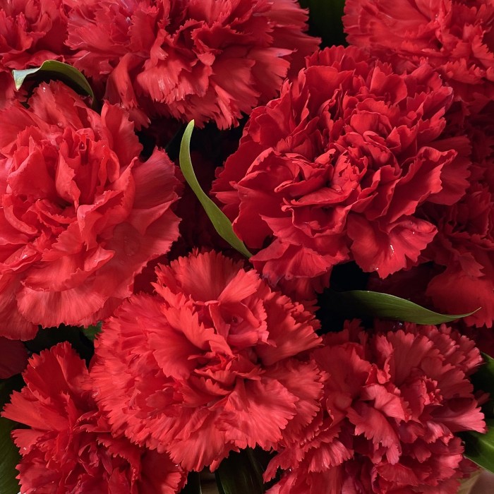 Гвоздики в корзине