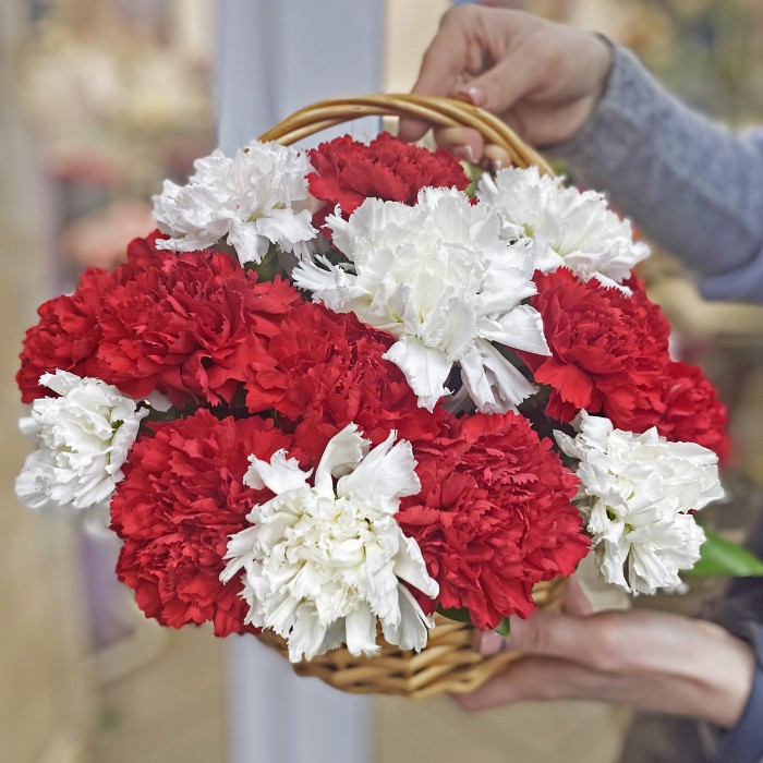 25 красных и белых гвоздик в корзине