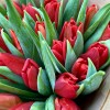 25 красных тюльпанов в крафте