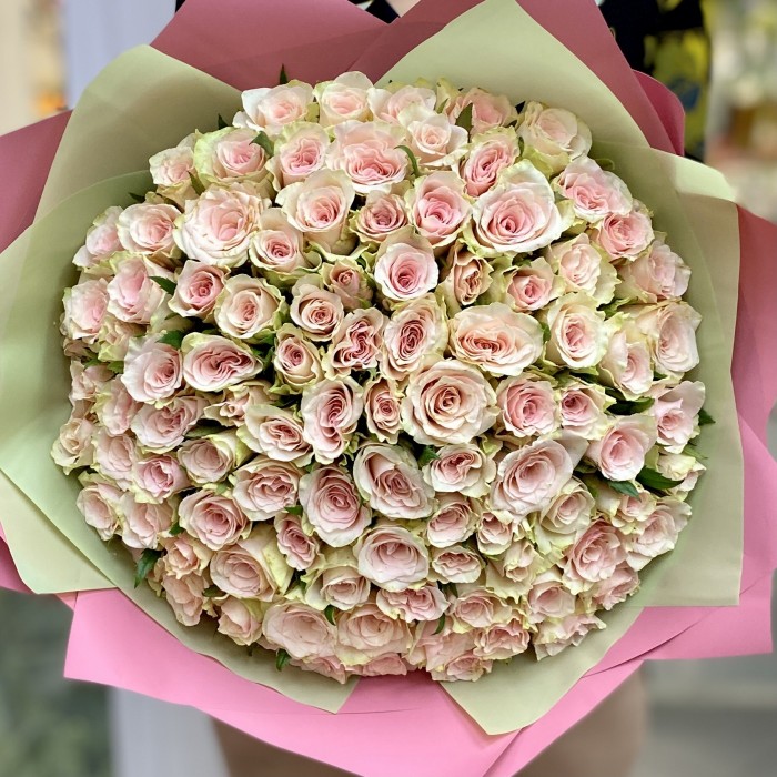 101 нежная роза Пинк Атена
