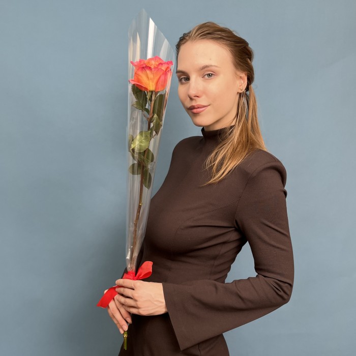 1 оранжево-розовая роза Фри Спирит  60 см