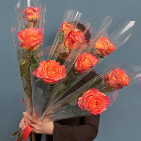 1 оранжево-розовая роза Фри Спирит  60 см