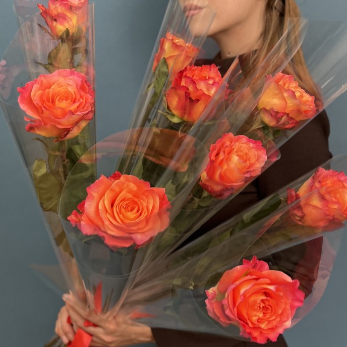 1 оранжево-розовая роза Фри Спирит  60 см