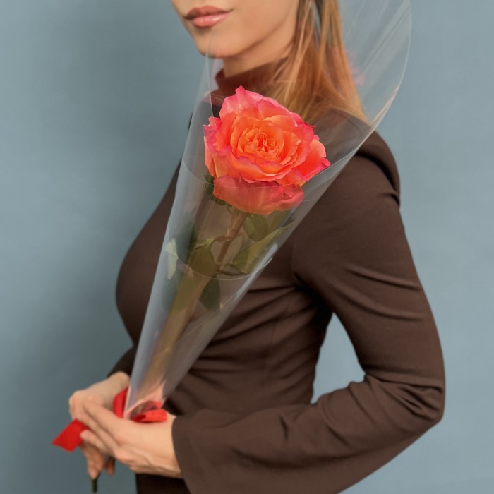 1 оранжево-розовая роза Фри Спирит  60 см