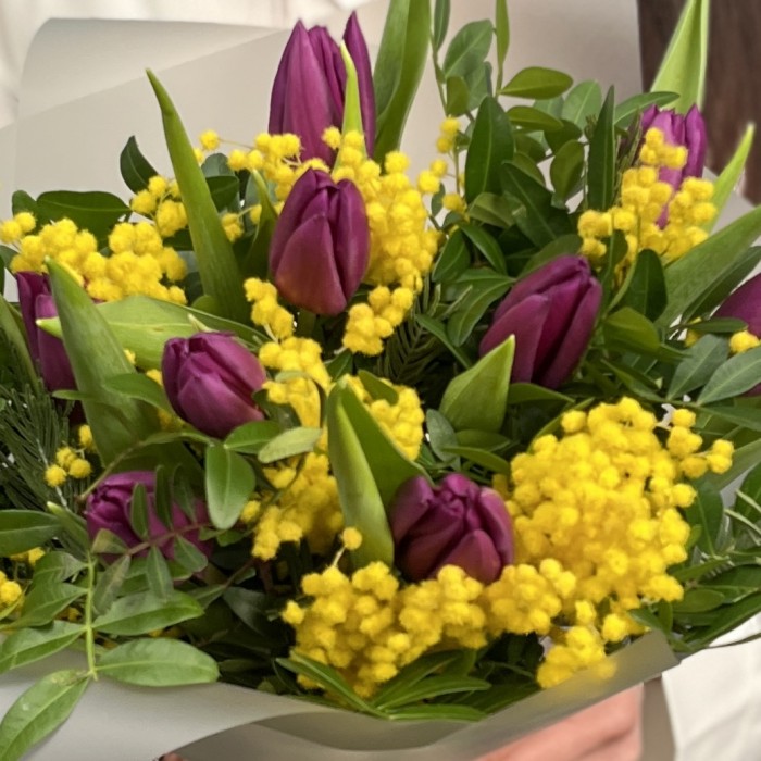 Букет фиолетовых тюльпанов с мимозой