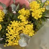 Букет мимозы на 8 марта с шаром