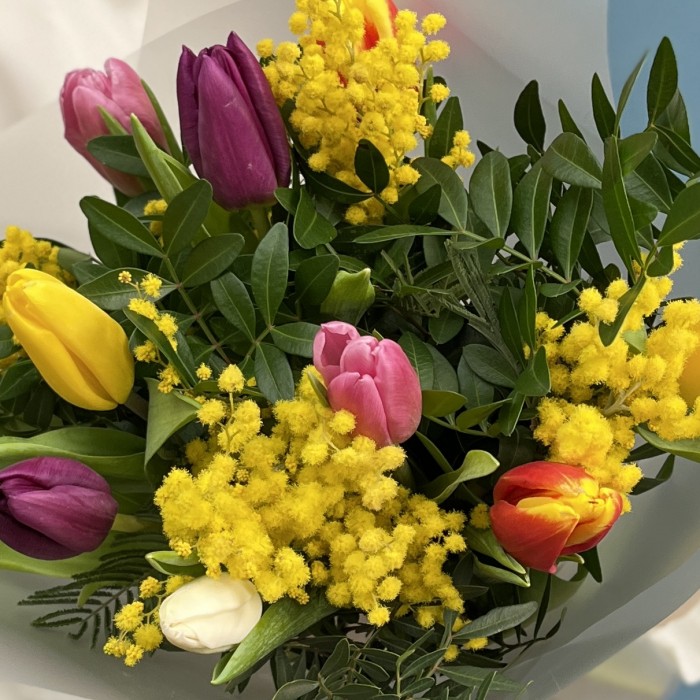 Букет тюльпанов микс с мимозой