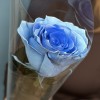 1 голубая роза 60 см