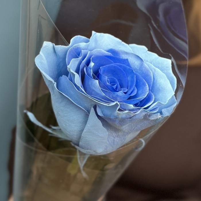 1 голубая роза 60 см