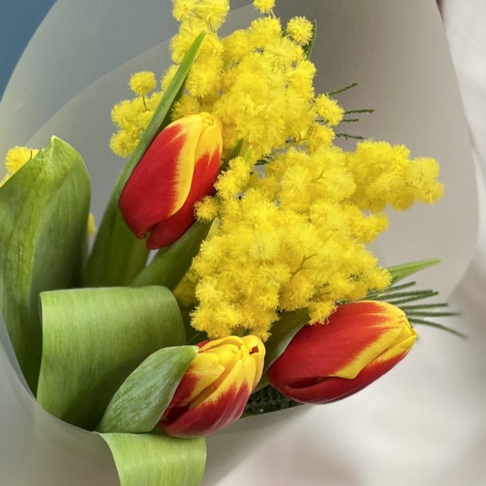 Корпоративный букет красно-желтые тюльпаны с мимозой
