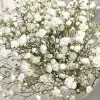 Корпоративный мини букет из белой гипсофилы