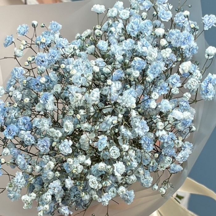 Корпоративный мини букет из голубой гипсофилы