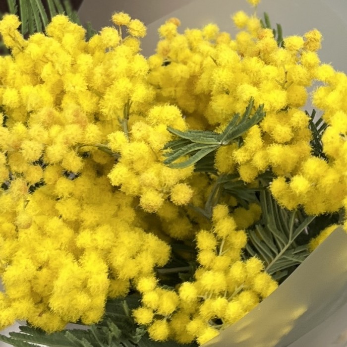 Корпоративный мини букет из мимозы