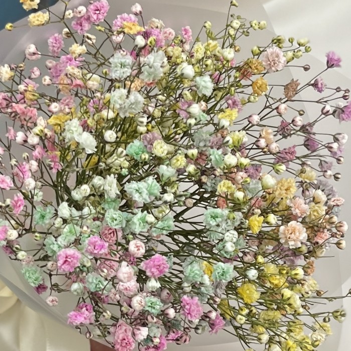 Корпоративный мини букет из радужной гипсофилы