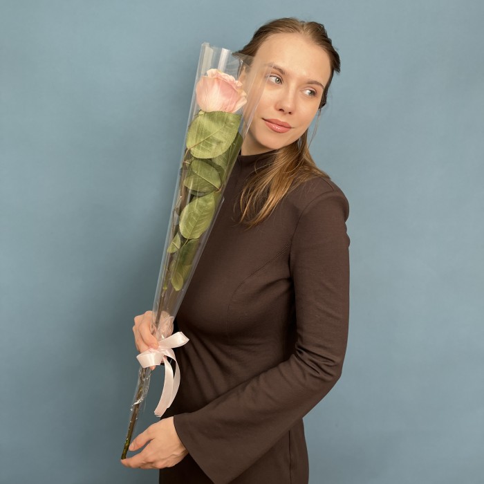 1 нежно-розовая роза Новия 60 см