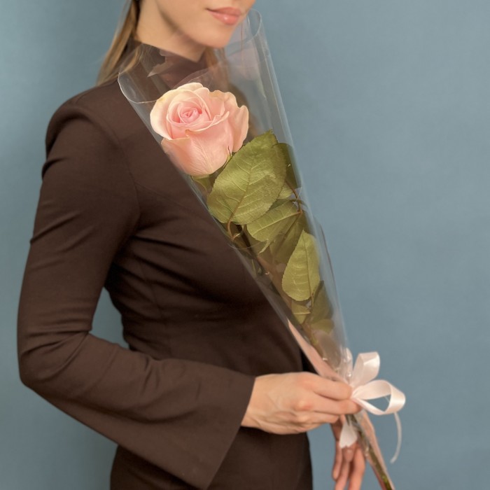 1 нежно-розовая роза Новия 60 см