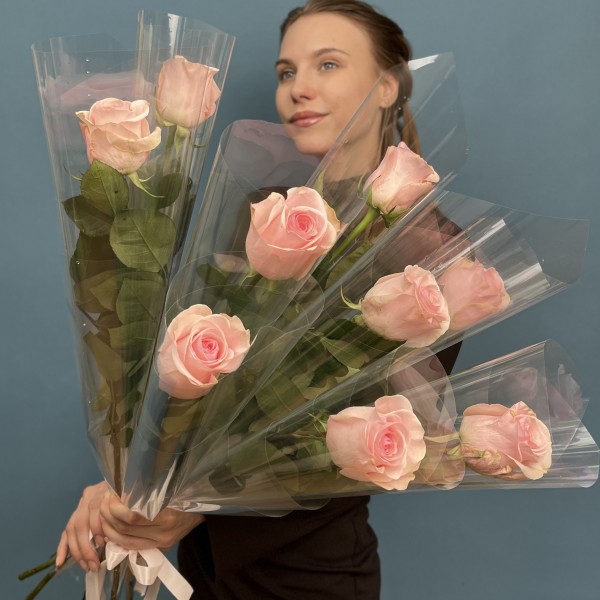 1 нежно-розовая роза Новия 60 см