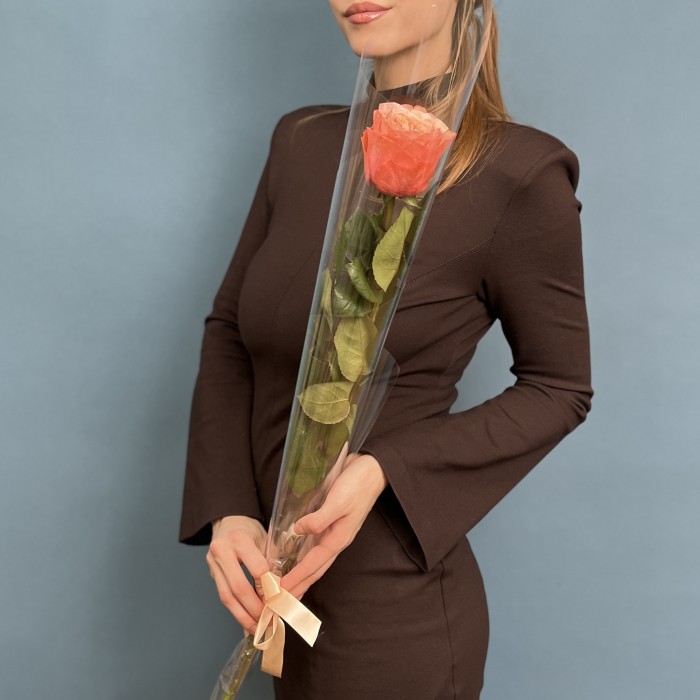 1 роза Кахала 60 см