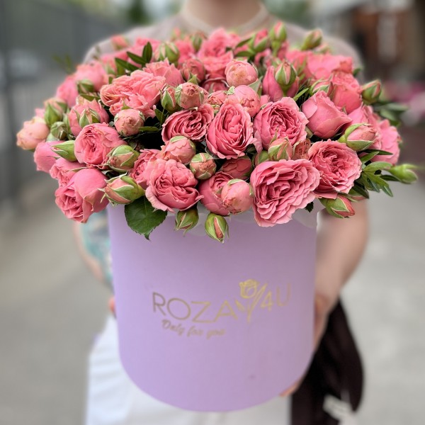 11 кустовых пионовидных роз Спешел Дайменшн в коробке