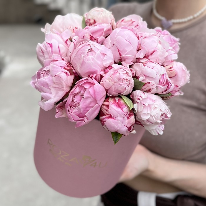 15 нежно-розовых пионов Сара Бернар в коробке