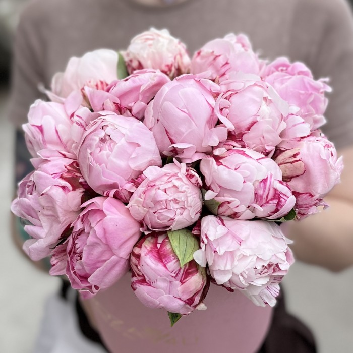 15 нежно-розовых пионов Сара Бернар в коробке