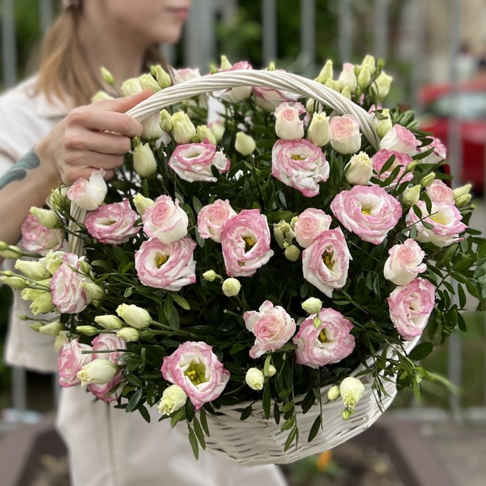 25 махровых бело-розовых эустом в корзине