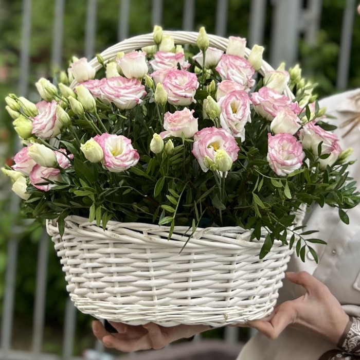 25 махровых бело-розовых эустом в корзине