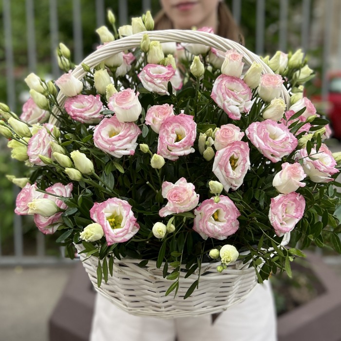 25 махровых бело-розовых эустом в корзине