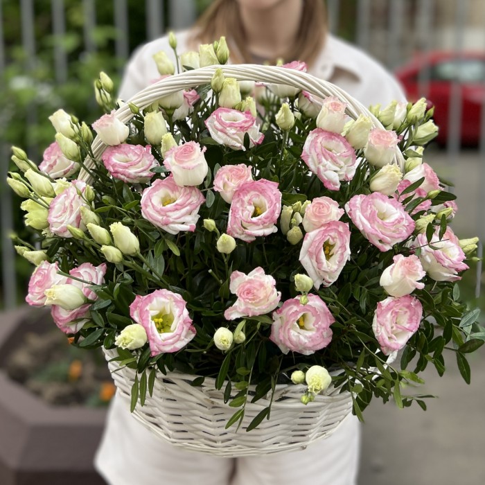 25 махровых бело-розовых эустом в корзине